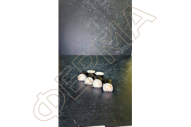 Макі креветка