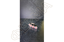 Макі тунець